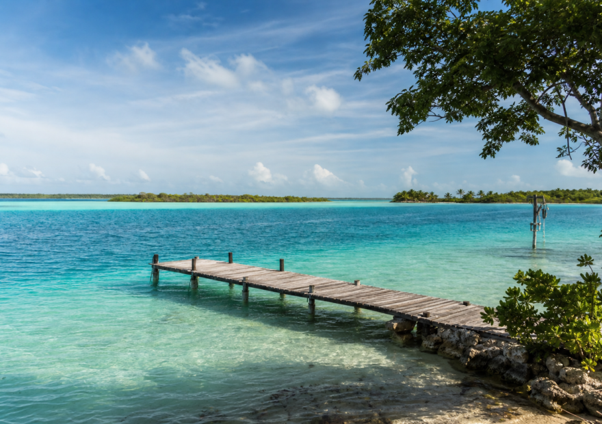 Laguna de Bacalar de tonos turquesa con vegetación caribeña