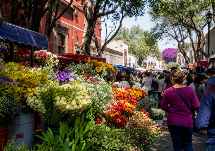 San Ángel: una feria de flores que cuenta la historia de la ciudad, imagen editorial de la Ciudad de México