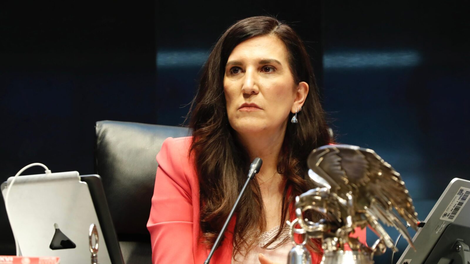 Kenia López Rabadán durante una sesión en la Cámara de Diputados